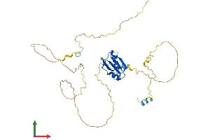 Protein Structure (PS) image for Nucleoporin 35kDa (NUP35) (AA 1-325) protein (His tag) (ABIN7559766)