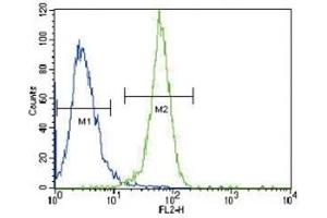 PGK1 antibody flow cytometric analysis of HeLa cells (right histogram) compared to a negative control (left histogram).
