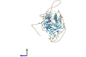 Protein Structure (PS) image for Zinc Finger Protein 16 (ZNF16) (AA 1-682) protein (His tag) (ABIN7556087)