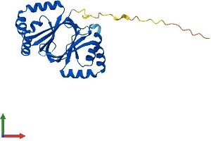 Protein Structure (PS) image for Nipsnap Homolog 3B (NIPSNAP3B) (AA 1-247) protein (His tag) (ABIN7549817)