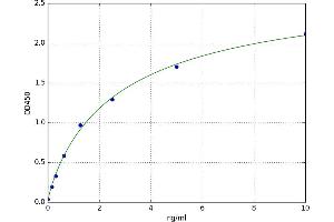 Protein Kinase, CAMP Dependent, Catalytic, beta (PRKACB) ELISA Kit