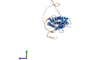 AlphaFold protein structure predicition of Mouse Recombinant Rarb Protein, UniprotID P22605 (Retinoic Acid Receptor beta Protein (AA 1-482) (His tag))