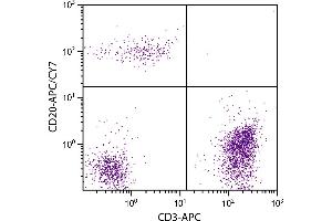 Human peripheral blood lymphocytes were stained with Mouse Anti-Human CD20-APC/CY7. (CD20 antibody  (APC-Cy7))