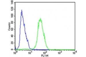 Flow cytometric analysis of SH-SY5Y cells using CDK5 antibody (green) compared to an isotype control of rabbit IgG (blue); Ab was diluted at 1:25 dilution. (CDK5 antibody  (AA 225-260))
