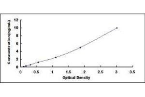 Typical standard curve (Ephrin A2 ELISA Kit)