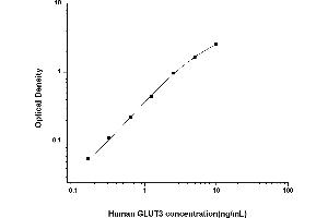 Typical standard curve (SLC2A3 ELISA Kit)