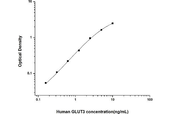 SLC2A3 ELISA Kit