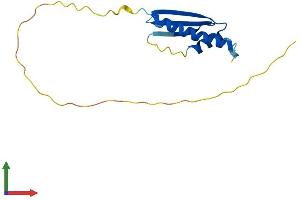 AlphaFold protein structure predicition of Mouse Recombinant Lage3 Protein, UniprotID Q9CR70