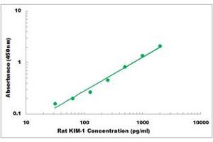 Representative Standard Curve