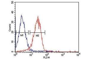 ITA6 antibody flow cytometric analysis of HepG2 cells (red) compared to a negative control cell (blue). (ITGA6 antibody)