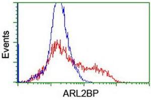 Image no. 1 for anti-ADP-Ribosylation Factor-Like 2 Binding Protein (ARL2BP) antibody (ABIN1496715) (ARL2BP antibody)