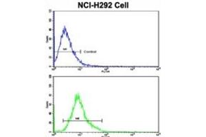 Flow Cytometry (FACS) image for anti-E74 like ETS transcription factor 4 (Elf4) antibody (ABIN3003030) (Elf4 antibody)