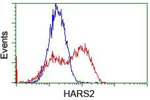 HEK293T cells transfected with either RC204925 overexpress plasmid (Red) or empty vector control plasmid (Blue) were immunostained by anti-HARS2 antibody (ABIN2455198), and then analyzed by flow cytometry. (HARS2 antibody)