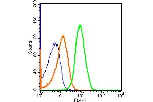 Molt-4 cells probed with CD21/EBV receptor Polyclonal Antibody, ALEXA FLUOR® 647 Conjugated (bs-3792R-A647) at 1:50 for 30 minutes compared to control cells (blue) and isotype control (orange). (CD21 antibody  (AA 981-1092) (Alexa Fluor 647))