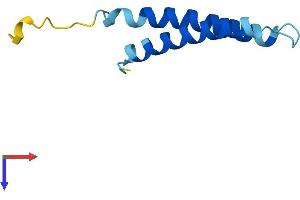AlphaFold protein structure predicition of Mouse Recombinant Tmem258 Protein, UniprotID P61166 (TMEM258 Protein (AA 1-79) (Fc Tag))
