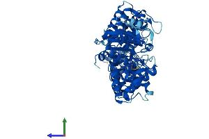 AlphaFold protein structure predicition of Human Recombinant RO60 Protein, UniprotID P10155 (TROVE2 Protein (AA 1-538) (His tag))