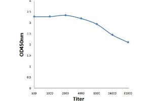 Antigen: 0. (VEGFB167 (AA 121-188) antibody)