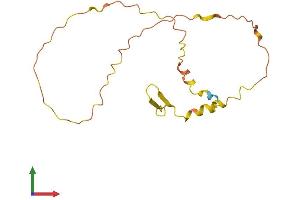AlphaFold protein structure predicition of Human Recombinant DANCR Protein, UniprotID P0C864 (DANCR Protein (AA 1-163) (His tag))