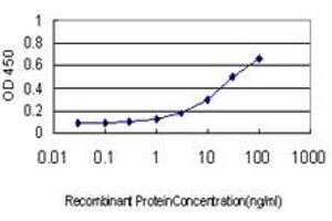 Detection limit for recombinant GST tagged MSRB2 is approximately 0.