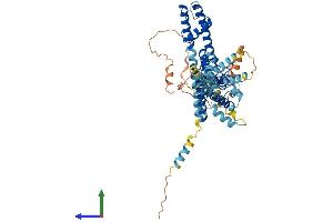 AlphaFold protein structure predicition of Human Recombinant KCNV2 Protein, UniprotID Q8TDN2 (KCNV2 Protein (AA 1-545) (His tag))