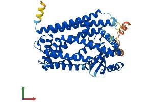 AlphaFold protein structure predicition of Human Recombinant ZMPSTE24 Protein, UniprotID O75844 (ZMPSTE24 Protein (AA 1-475) (His tag))