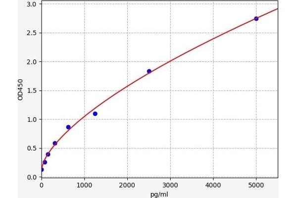 PNLIP ELISA Kit