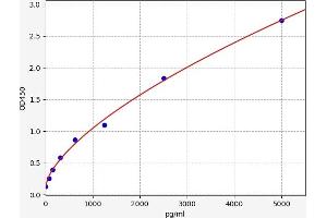 Typical standard curve (PNLIP ELISA Kit)