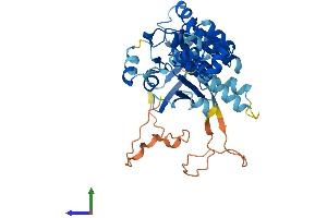 AlphaFold protein structure predicition of Human Recombinant RAD51B Protein, UniprotID O15315