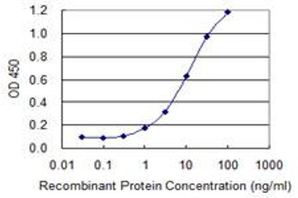 STRN3 antibody  (AA 614-713)