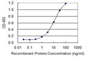 Detection limit for recombinant GST tagged STRN3 is 0. (STRN3 antibody  (AA 614-713))