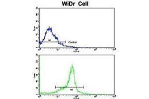 Flow Cytometry (FACS) image for anti-Protein tyrosine Phosphatase Type IVA, Member 2 (PTP4A2) (AA 32-59) antibody (ABIN390820)