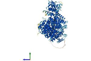AlphaFold protein structure predicition of Mouse Recombinant Med23 Protein, UniprotID Q80YQ2 (MED23 Protein (AA 1-1367) (His tag))