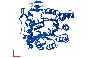 Protein Structure (PS) image for TatD DNase Domain Containing 1 (TATDN1) (AA 1-295) protein (His tag) (ABIN7558013)