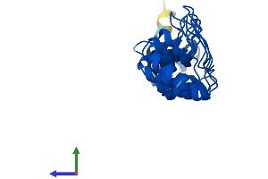 AlphaFold protein structure predicition of Human Recombinant PSMD10 Protein, UniprotID O75832