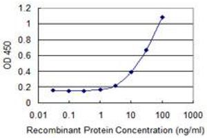 Detection limit for recombinant GST tagged RPS14 is 1 ng/ml as a capture antibody. (RPS14 antibody  (AA 45-144))