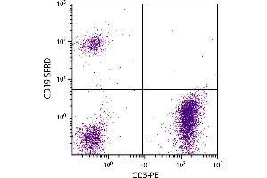 Human peripheral blood lymphocytes were stained with Mouse Anti-Human CD19-SPRD. (CD19 antibody  (SPRD))