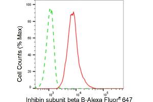 Flow cytometric analysis of inhibin subunit beta B expression in HT- cells using inhibin subunit beta B antibody (ABIN7800941), 1:2,000).