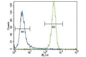 Flow Cytometry (FACS) image for anti-GTPase NRas (NRAS) (AA 147-179) antibody (ABIN3031131)