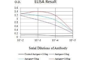 Black line: Control Antigen (100 ng),Purple line: Antigen (10 ng), Blue line: Antigen (50 ng), Red line:Antigen (100 ng) (FGFR4 antibody  (AA 22-369))