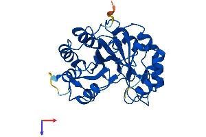AlphaFold protein structure predicition of Human Recombinant FAM151B Protein, UniprotID Q6UXP7
