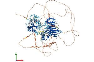 AlphaFold protein structure predicition of Human Recombinant MAP1S Protein, UniprotID Q66K74 (MAP1S Protein (AA 1-1059) (His tag))