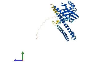 AlphaFold protein structure predicition of Mouse Recombinant Cops6 Protein, UniprotID O88545 (COPS6 Protein (AA 1-324) (His tag))