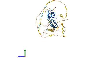 Protein Structure (PS) image for Cleavage and Polyadenylation Specific Factor 6, 68kDa (CPSF6) (AA 1-551) protein (His tag) (ABIN7546763)