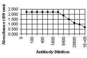 ELISA image for anti-Pp28 Tegument Protein (CMV Pp28) antibody (ABIN265538) (Pp28 Tegument Protein (CMV Pp28) antibody)