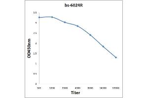 Antigen: 0. (CA10 antibody  (AA 141-240))