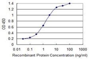 Detection limit for recombinant GST tagged STAT6 is 0. (STAT6 antibody  (AA 694-801))