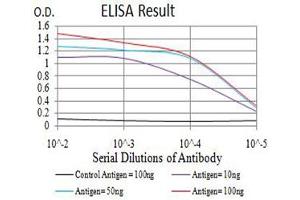 Black line: Control Antigen (100 ng),Purple line: Antigen (10 ng), Blue line: Antigen (50 ng), Red line:Antigen (100 ng) (APEX1 antibody  (AA 219-318))