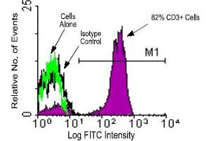 Flow Cytometry (FACS) image for anti-CD3 (CD3) antibody (FITC) (ABIN371284) (CD3 antibody  (FITC))