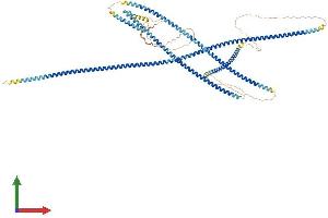 AlphaFold protein structure predicition of Mouse Recombinant Bicd1 Protein, UniprotID Q8BR07