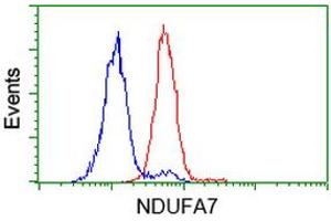 Image no. 2 for anti-NADH Dehydrogenase (Ubiquinone) 1 alpha Subcomplex, 7, 14.5kDa (NDUFA7) antibody (ABIN1499664)
